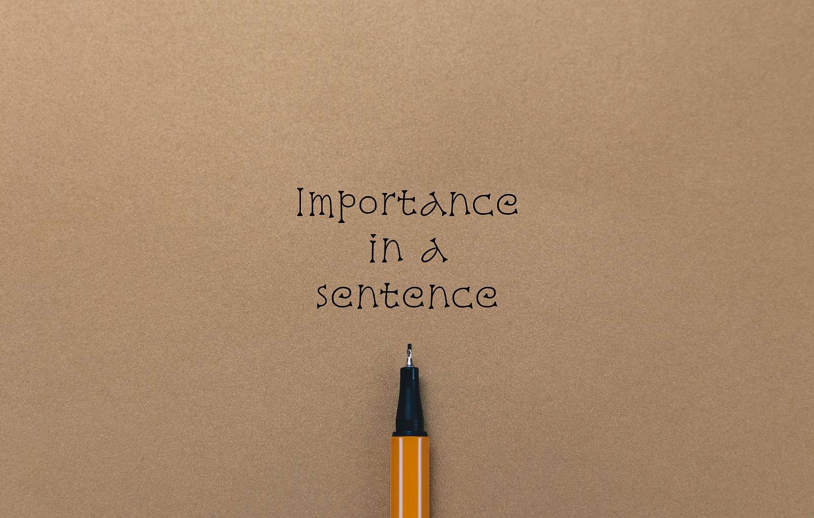 Importance In A Sentence Fabulous Word